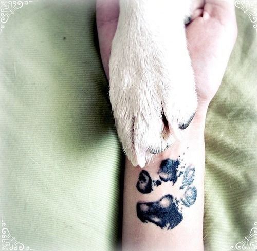 pet-tattoo4