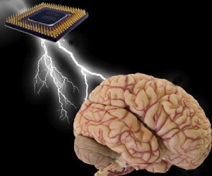 Cerebro-y-una-CPU