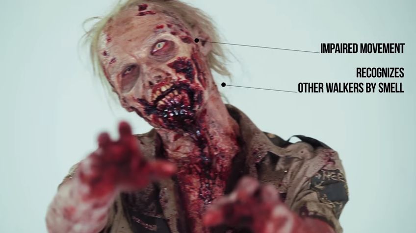 La increíble evolución de los zombies en los últimos 100