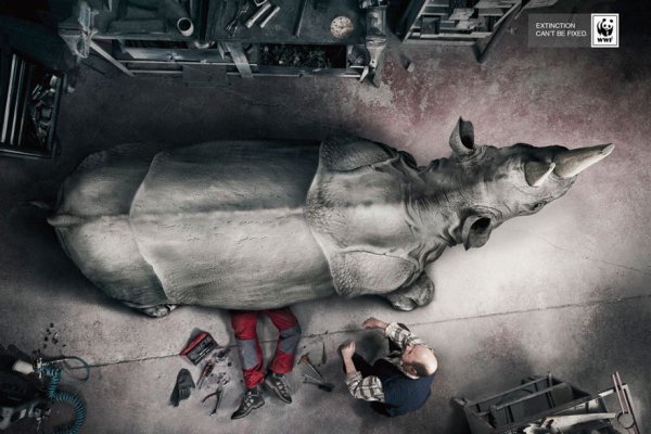 verdades-incómodas17