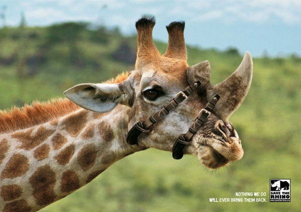 verdades-incómodas7