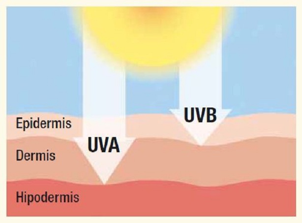 Rayos-UVB_UVA