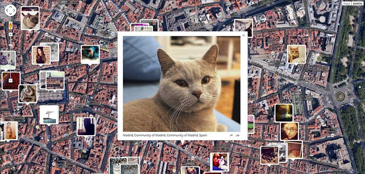 Página que sabe donde vive tu gato