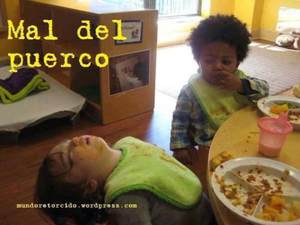 Conoce la verdad detrás del `Mal del PUERCO´ después de comer