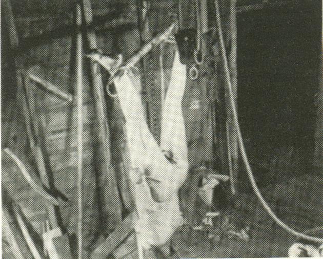 Foto de su última víctima desde otro ángulo (Bernice Worden) tomada por la policia en el momento de la inspección de su domicilio, el cadaver se encontraba decapitado y con el cuerpo completamente abierto en canal.