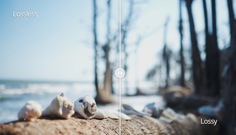 ¿Cuál es la diferencia entre JPG, PNG, y GIF?