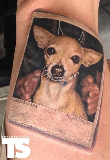 pet-tattoo12