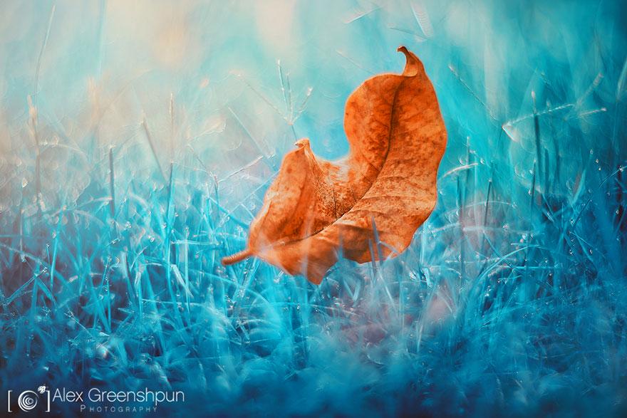 xautumn-photography-alex-greenshpun-12.jpg.pagespeed.ic.F8E1Md1a5C