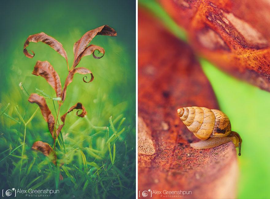 xautumn-photography-alex-greenshpun-23.jpg.pagespeed.ic.UbDDQw9IPR