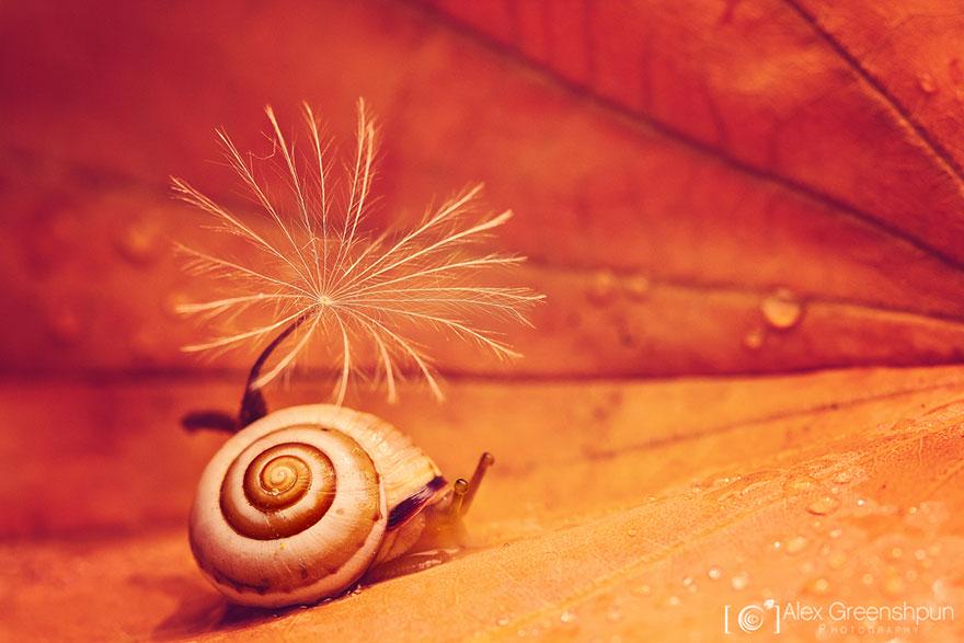 xautumn-photography-alex-greenshpun-6.jpg.pagespeed.ic.owapArmLJe