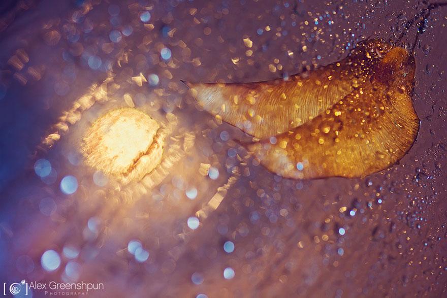 xautumn-photography-alex-greenshpun-7.jpg.pagespeed.ic.gAaDqVYi7X