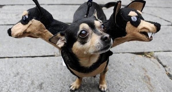 Disfraces de Halloween para tu perro