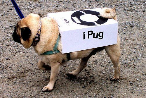 ipug