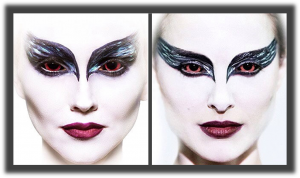black swan 1