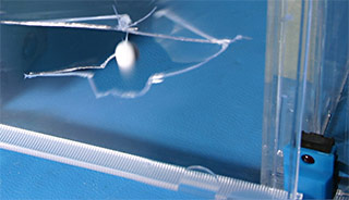 high_speed_photography_impact