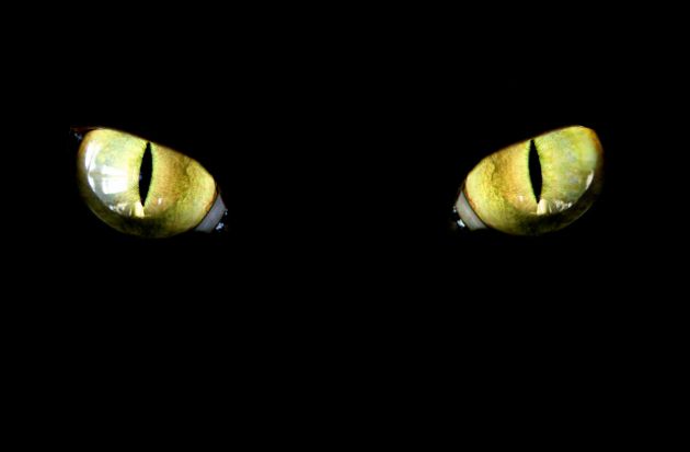 9-escalofriantes-monstruos-navideños-en-diferentes-culturas-del-mundo