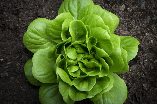 9dfde7348b2ecb589a99f01753b159b8_article