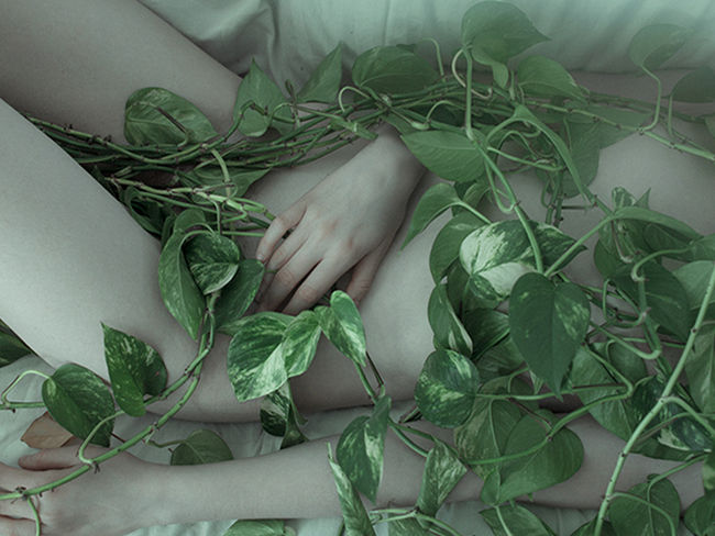 Historia de la Bella Durmiente es mucho más gore de lo que te imaginabas