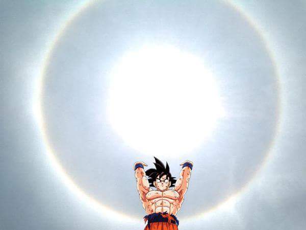 11012188_860709177356459_8890368227042355528_n