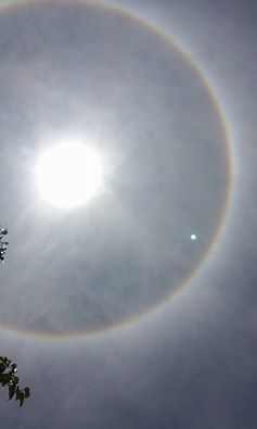 11350586_653095318167743_6203574967721762175_n