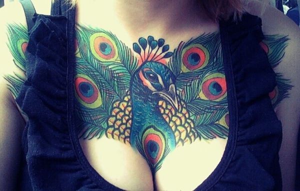 pavo-real-600x383