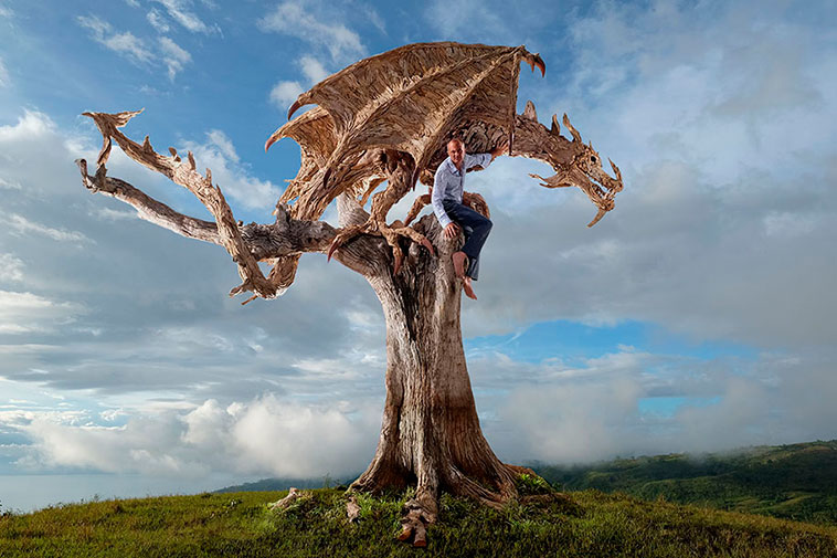 dragones_madera_02