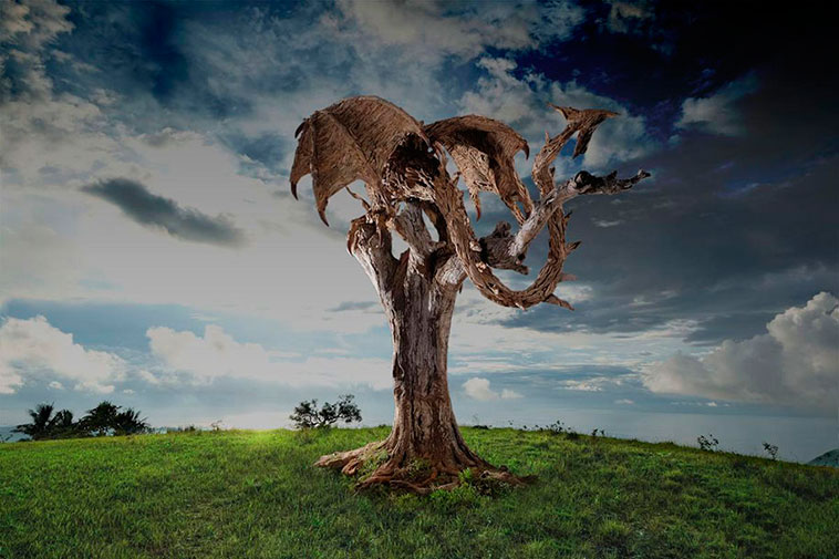 dragones_madera_11