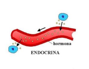 Comunicación celular